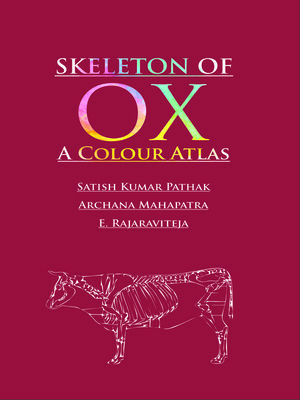 cover image of Skeleton of Ox
